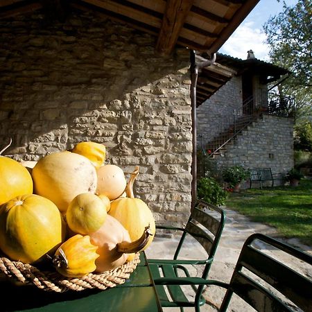 Brigolante Guest Apartments Assisi Quarto foto